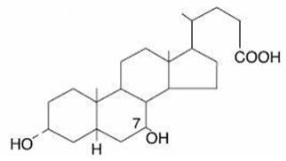 Ursodiol 300 mg capsule